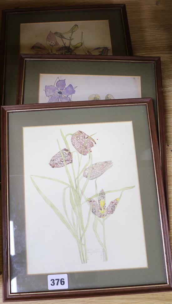 Charles Rennie Mackintosh, set of 4 colour prints, flower studies, 24 x 19m